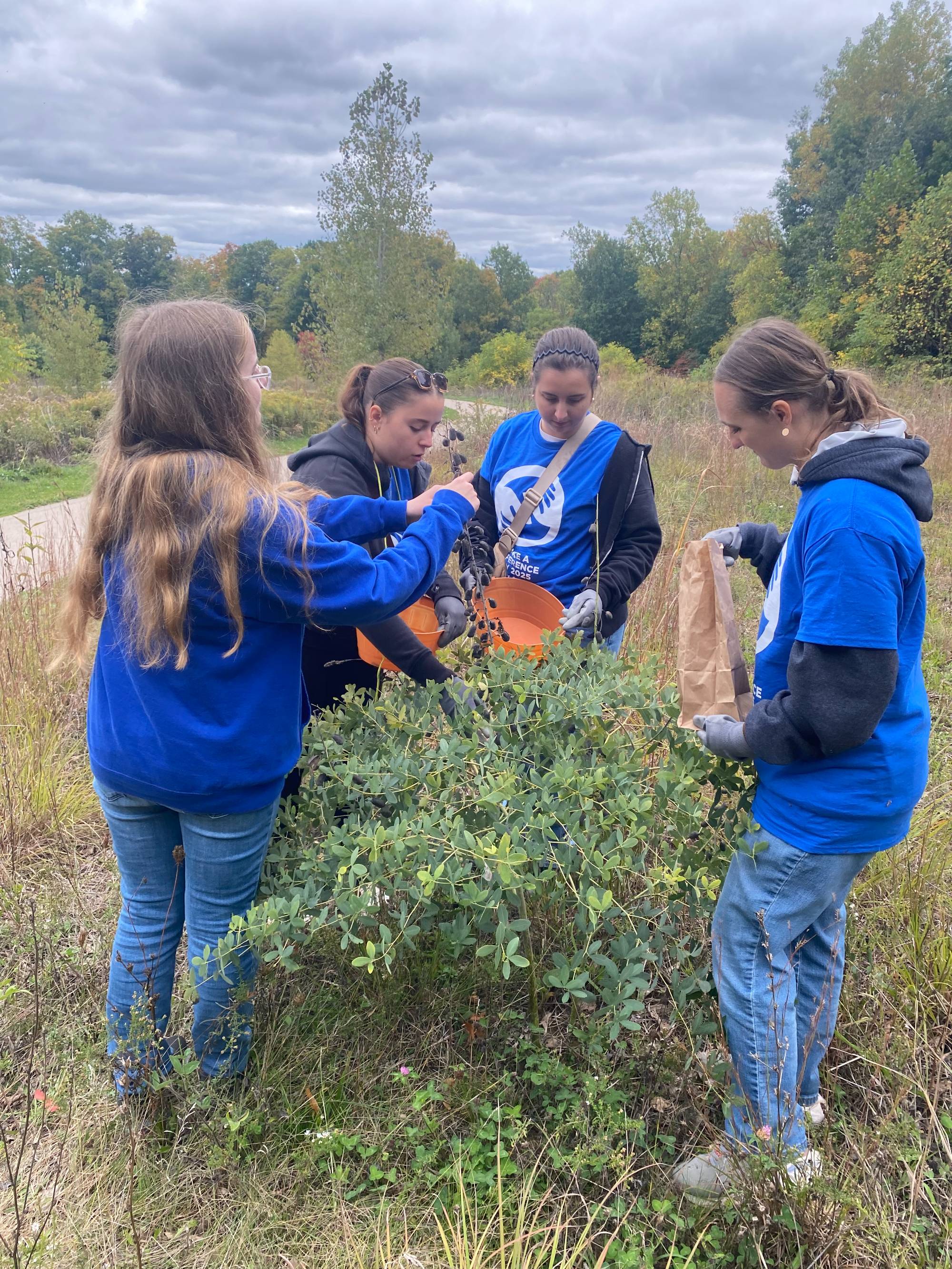 group working with seedling